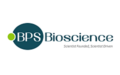 Beschleunigen Sie Ihre Wirkstoffforschung mit unserem neuen Lieferanten BPS Bioscience