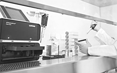 Lonza mycoplasma contamination lab