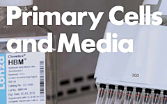 Primary Cells and Media Lonza