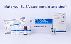 QuicKey Pro ELISA Kit from Elabscience