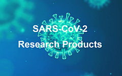 SARS-CoV-2 Research Products