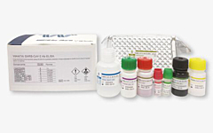Wantai SARS-CoV-2 AB Elisa Kit