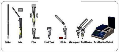 RTEmagicC_illumigene_C_Diff_Assay_Process