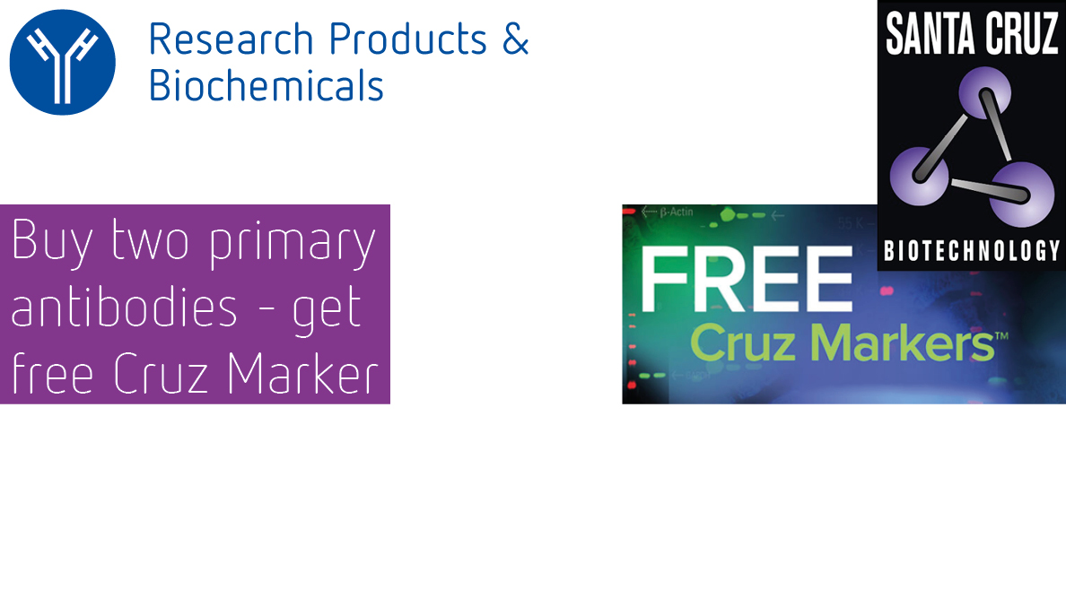 Santa Cruz Free Markers