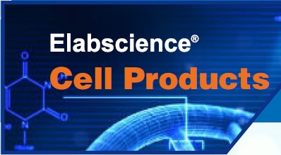 Elabscience Cell Products