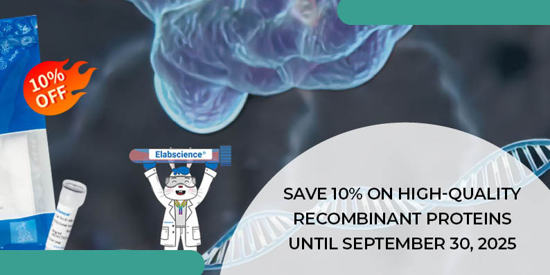 Recombinant Proteins promo