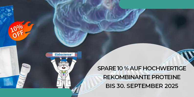 Rekombinante Proteine Aktion