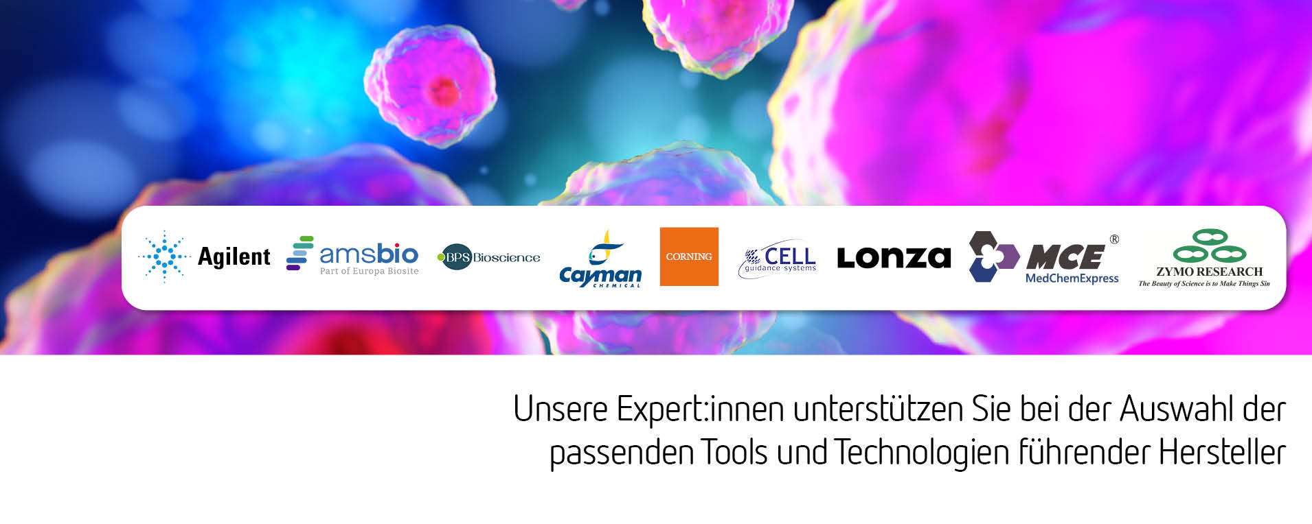 Explore now 3D cell culture and organoids