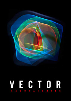 Vector product catalog