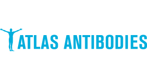 Atlas Antibodies Logo