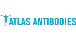 Atlas Antibodies