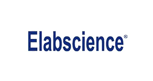 Elabscience Biotechnology Logo
