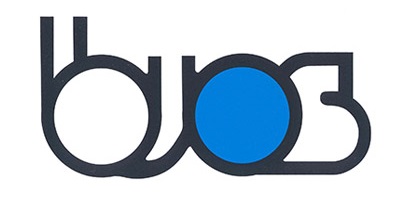 bios logo