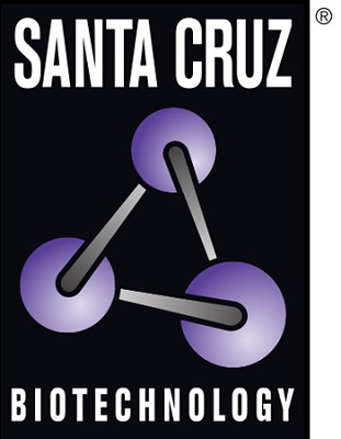 Santa Cruz Logo