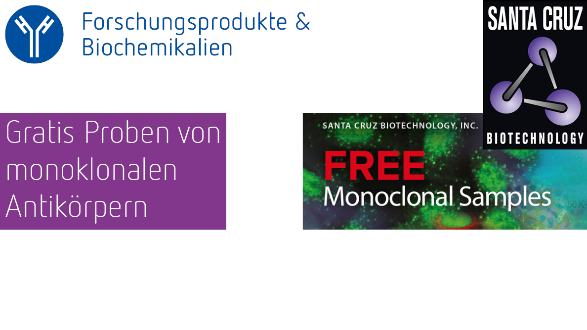 Forschung Teaser