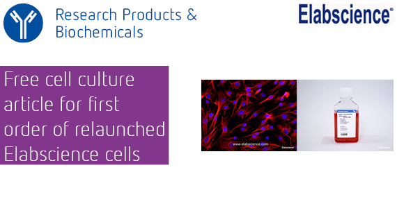 Free cell culture article - relaunch Elabscience cells