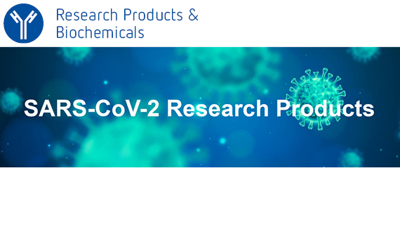 Research products teaser