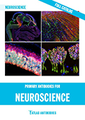 Atlas Antibodies Neuroscience Catalog