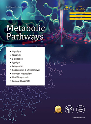 GeneTex Metabolic Pathways